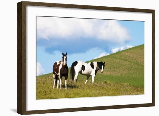 USA, Washington State, Saint John. Horses on the Hillside-Terry Eggers-Framed Photographic Print