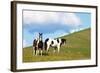 USA, Washington State, Saint John. Horses on the Hillside-Terry Eggers-Framed Photographic Print