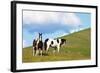 USA, Washington State, Saint John. Horses on the Hillside-Terry Eggers-Framed Photographic Print