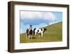 USA, Washington State, Saint John. Horses on the Hillside-Terry Eggers-Framed Photographic Print