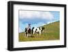 USA, Washington State, Saint John. Horses on the Hillside-Terry Eggers-Framed Photographic Print