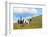 USA, Washington State, Saint John. Horses on the Hillside-Terry Eggers-Framed Photographic Print