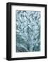 USA, Washington State, Sammamish. Frost on auto window-Darrell Gulin-Framed Photographic Print