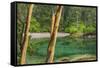 USA, Washington State, San Juan Islands. Secluded bay on Sucia Island.-Jaynes Gallery-Framed Stretched Canvas