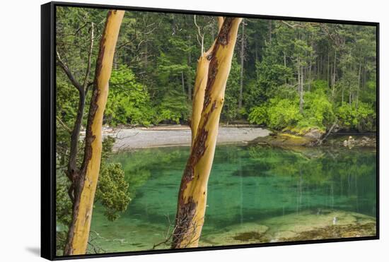 USA, Washington State, San Juan Islands. Secluded bay on Sucia Island.-Jaynes Gallery-Framed Stretched Canvas