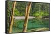 USA, Washington State, San Juan Islands. Secluded bay on Sucia Island.-Jaynes Gallery-Framed Stretched Canvas