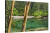 USA, Washington State, San Juan Islands. Secluded bay on Sucia Island.-Jaynes Gallery-Stretched Canvas