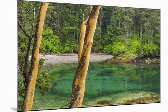 USA, Washington State, San Juan Islands. Secluded bay on Sucia Island.-Jaynes Gallery-Mounted Photographic Print