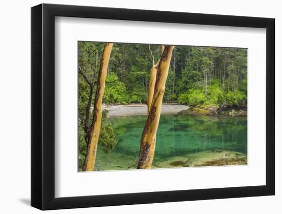 USA, Washington State, San Juan Islands. Secluded bay on Sucia Island.-Jaynes Gallery-Framed Photographic Print