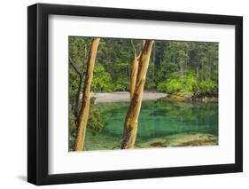 USA, Washington State, San Juan Islands. Secluded bay on Sucia Island.-Jaynes Gallery-Framed Photographic Print