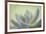 USA, Washington State, Seabeck. Abstract of succulent plant.-Jaynes Gallery-Framed Premium Photographic Print