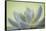 USA, Washington State, Seabeck. Abstract of succulent plant.-Jaynes Gallery-Framed Stretched Canvas