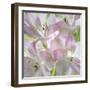 USA, Washington State, Seabeck. Alstroemeria blossoms close-up.-Jaynes Gallery-Framed Photographic Print