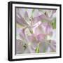 USA, Washington State, Seabeck. Alstroemeria blossoms close-up.-Jaynes Gallery-Framed Photographic Print