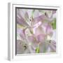 USA, Washington State, Seabeck. Alstroemeria blossoms close-up.-Jaynes Gallery-Framed Photographic Print