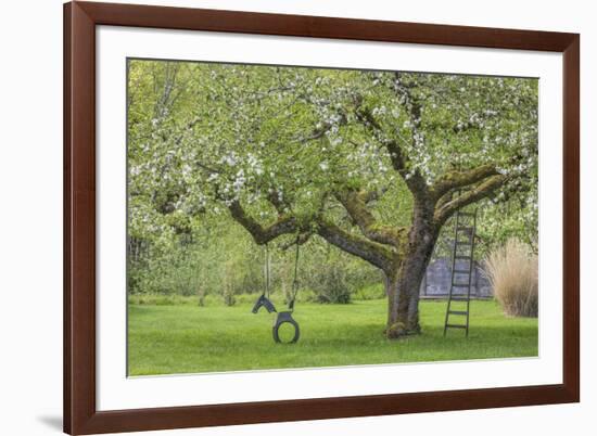 USA, Washington State, Seabeck. Apple tree with tire swing and ladder.-Jaynes Gallery-Framed Photographic Print