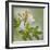 USA, Washington State, Seabeck. Azalea blossom close-up.-Jaynes Gallery-Framed Premium Photographic Print