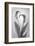 USA, Washington State, Seabeck. Black and white of calla lily.-Jaynes Gallery-Framed Photographic Print