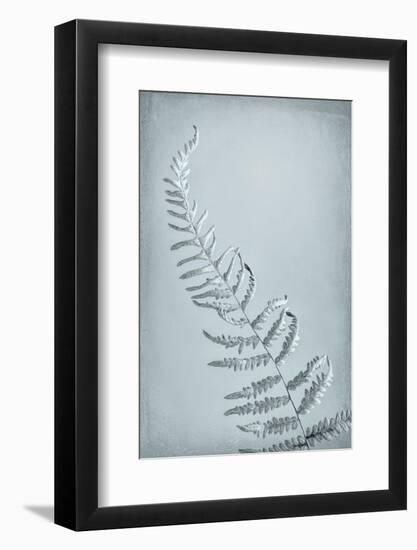 USA, Washington State, Seabeck. Bracken fern abstract.-Jaynes Gallery-Framed Photographic Print