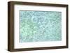 USA, Washington State, Seabeck. Bubbles frozen in ice.-Jaynes Gallery-Framed Photographic Print