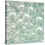 USA, Washington State, Seabeck. Bubbles frozen in ice.-Jaynes Gallery-Stretched Canvas