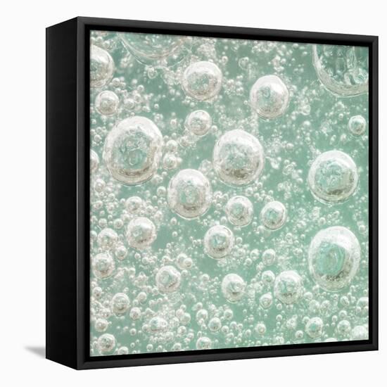 USA, Washington State, Seabeck. Bubbles frozen in ice.-Jaynes Gallery-Framed Stretched Canvas