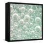 USA, Washington State, Seabeck. Bubbles frozen in ice.-Jaynes Gallery-Framed Stretched Canvas