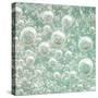 USA, Washington State, Seabeck. Bubbles frozen in ice.-Jaynes Gallery-Stretched Canvas