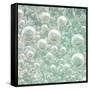 USA, Washington State, Seabeck. Bubbles frozen in ice.-Jaynes Gallery-Framed Stretched Canvas