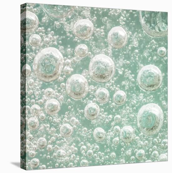 USA, Washington State, Seabeck. Bubbles frozen in ice.-Jaynes Gallery-Stretched Canvas