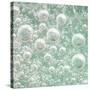 USA, Washington State, Seabeck. Bubbles frozen in ice.-Jaynes Gallery-Stretched Canvas