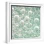 USA, Washington State, Seabeck. Bubbles frozen in ice.-Jaynes Gallery-Framed Photographic Print