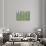 USA, Washington State, Seabeck. Collage of Bracken Ferns and Forest-Don Paulson-Stretched Canvas displayed on a wall