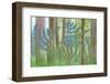 USA, Washington State, Seabeck. Collage of Bracken Ferns and Forest-Don Paulson-Framed Photographic Print