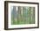 USA, Washington State, Seabeck. Collage of Bracken Ferns and Forest-Don Paulson-Framed Photographic Print