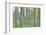 USA, Washington State, Seabeck. Collage of Bracken Ferns and Forest-Don Paulson-Framed Photographic Print