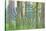 USA, Washington State, Seabeck. Collage of Bracken Ferns and Forest-Don Paulson-Stretched Canvas