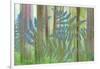 USA, Washington State, Seabeck. Collage of Bracken Ferns and Forest-Don Paulson-Framed Photographic Print