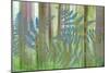USA, Washington State, Seabeck. Collage of Bracken Ferns and Forest-Don Paulson-Mounted Photographic Print