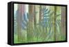 USA, Washington State, Seabeck. Collage of Bracken Ferns and Forest-Don Paulson-Framed Stretched Canvas