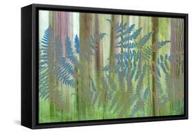 USA, Washington State, Seabeck. Collage of Bracken Ferns and Forest-Don Paulson-Framed Stretched Canvas