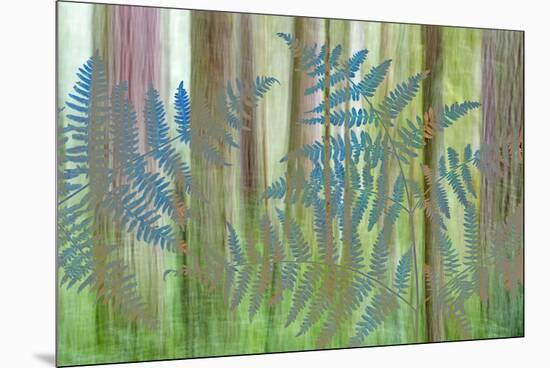 USA, Washington State, Seabeck. Collage of Bracken Ferns and Forest-Don Paulson-Mounted Premium Photographic Print