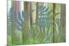 USA, Washington State, Seabeck. Collage of Bracken Ferns and Forest-Don Paulson-Mounted Premium Photographic Print