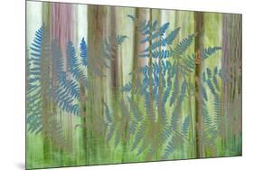 USA, Washington State, Seabeck. Collage of Bracken Ferns and Forest-Don Paulson-Mounted Premium Photographic Print
