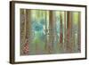 USA, Washington State, Seabeck. Collage of Pine Cones and Trees-Don Paulson-Framed Photographic Print