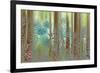 USA, Washington State, Seabeck. Collage of Pine Cones and Trees-Don Paulson-Framed Photographic Print