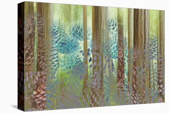 USA, Washington State, Seabeck. Collage of Pine Cones and Trees-Don Paulson-Stretched Canvas