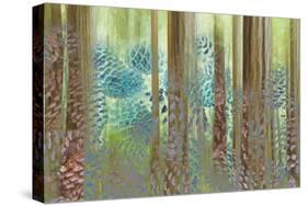 USA, Washington State, Seabeck. Collage of Pine Cones and Trees-Don Paulson-Stretched Canvas