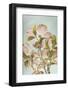 USA, Washington State, Seabeck. Colorized pink dogwood blossoms.-Jaynes Gallery-Framed Photographic Print