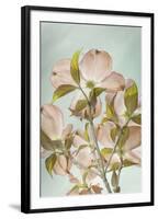 USA, Washington State, Seabeck. Colorized pink dogwood blossoms.-Jaynes Gallery-Framed Photographic Print